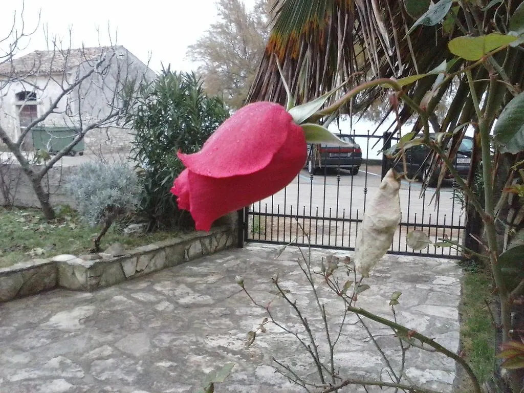 Apartment Rivarela 31 Novigrad Istria